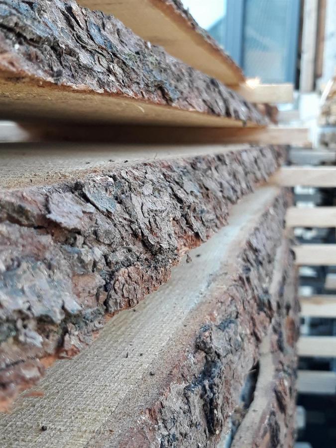 Ferienwohnung An Der Kleinen Schreinerei Hallschlag Dış mekan fotoğraf